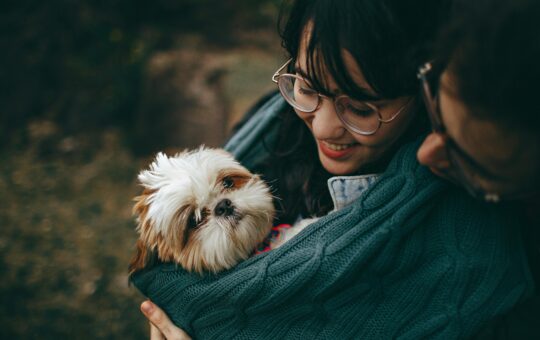 10 Must-Know Tips for First-Time Dog Owners